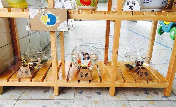 幼儿园户外废旧纸盒利用自然角图片