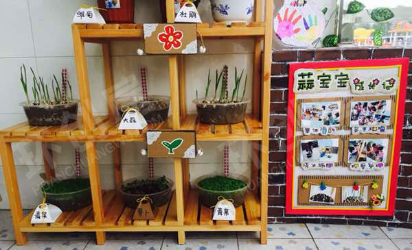 幼儿园户外废旧纸盒利用自然角图片