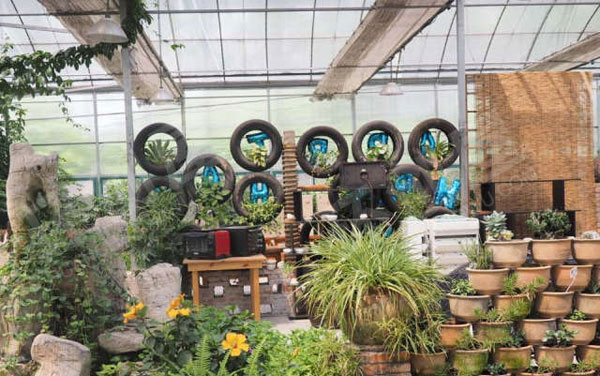 幼儿园户外环创热带雨林植物园图片