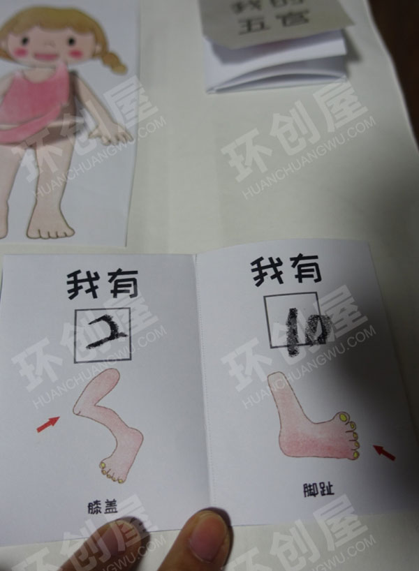 幼儿园科学区我的身体里有什么图片