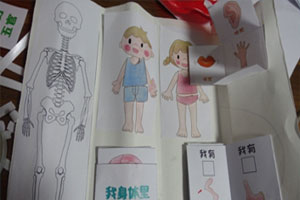 幼儿园科学区我的身体里有什么图片4张