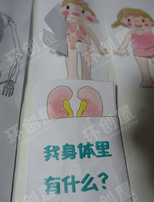 幼儿园科学区我的身体里有什么图片