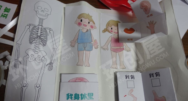幼儿园科学区我的身体里有什么图片
