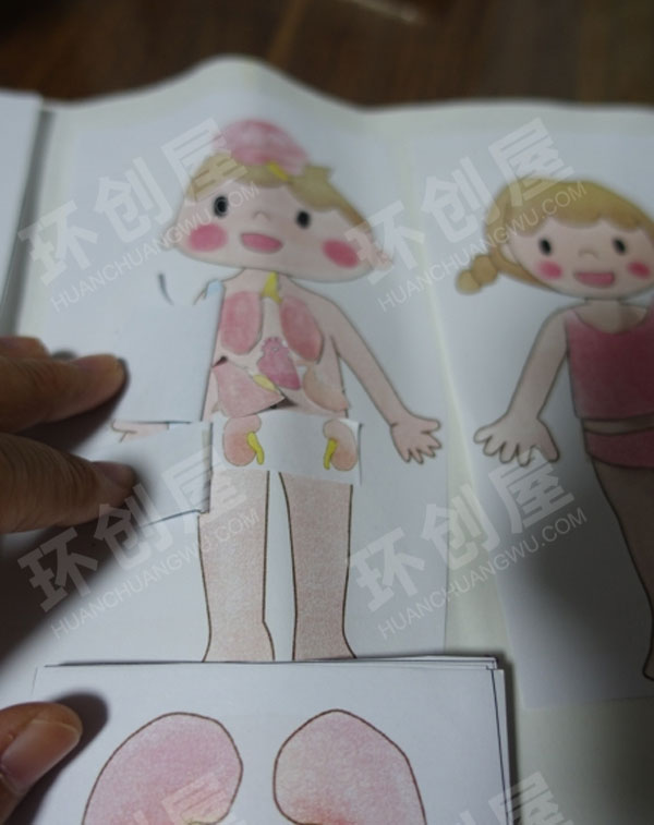 幼儿园科学区我的身体里有什么图片