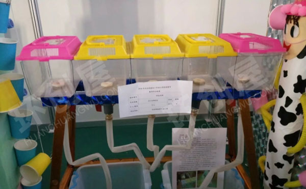幼儿园科学区有趣自制创意玩教具图片