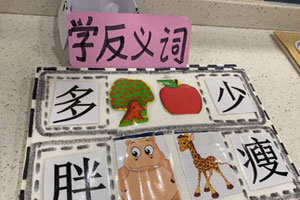 幼儿园益智区变废为宝小妙招图片8张