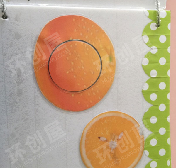 幼儿园益智区水果的内部结构图片