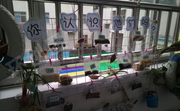 幼儿园走廊海洋风的植物角图片