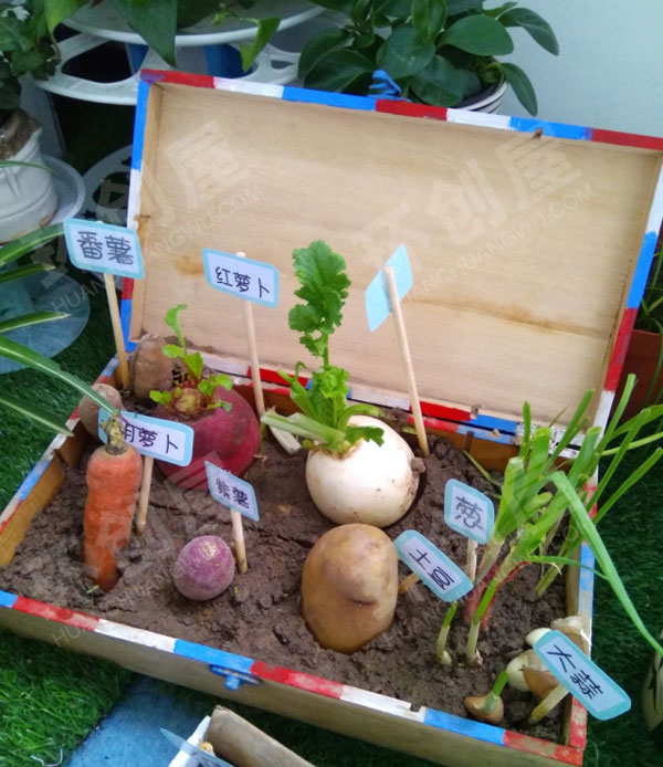 幼儿园走廊海洋风的植物角图片