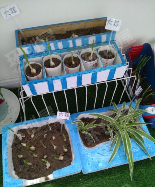 幼儿园走廊海洋风的植物角图片