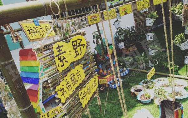 幼儿园户外环创废物利用种植微景观图片
