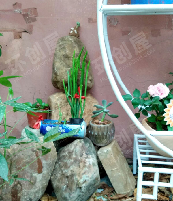 幼儿园户外环创培育种子植物角图片