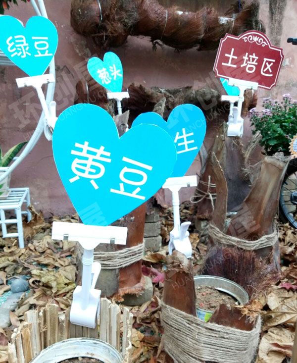 幼儿园户外环创培育种子植物角图片