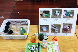幼儿园科学区蛋宝宝探秘图片