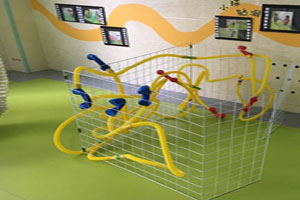 幼儿园科学区管子的秘密图片3张