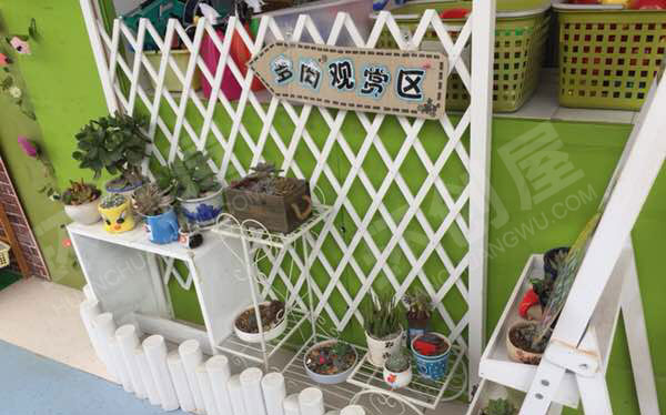 幼儿园户外植物角多肉小王国图片