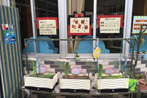 幼儿园户外自然角海报图片4张