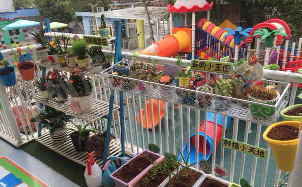 幼儿园户外植物角多肉小王国图片
