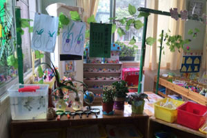 幼儿园科学区的植物生长图片5张