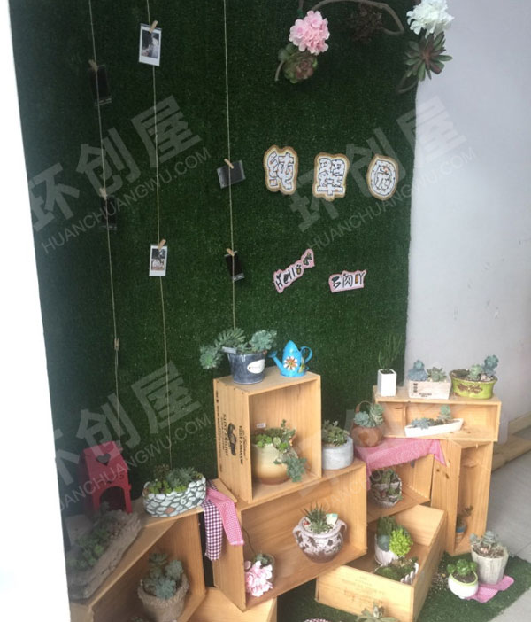 幼儿园走廊植物角多肉红酒箱图片