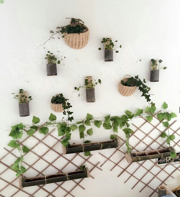 幼儿园走廊植物角竹林小清新图片