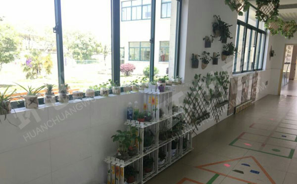 幼儿园走廊植物角竹林小清新图片