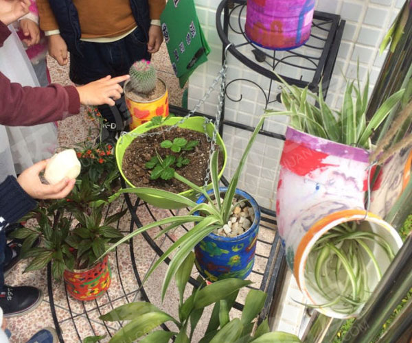 幼儿园户外废物利用植物角图片