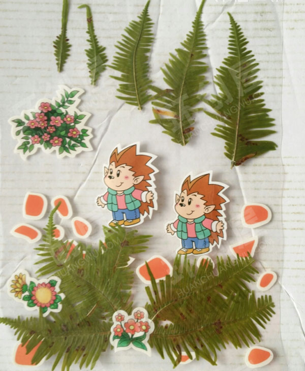 幼儿园户外树叶与小草创意作品墙饰图片