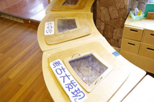 幼儿园科学区科探室里的快乐图片5张