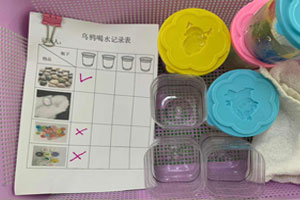 幼儿园科学区自制教玩具各种科学记录图片7张