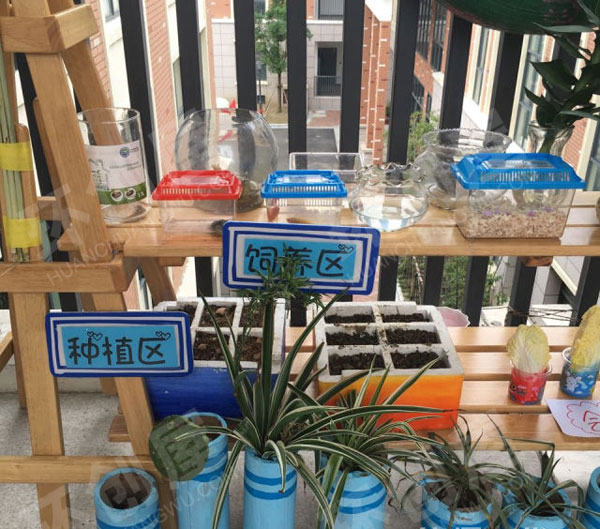 幼儿园走廊植物角阳光花圃图片