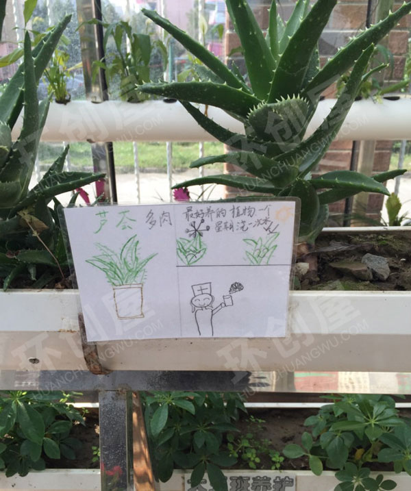 幼儿园户外快乐田园植物角图片