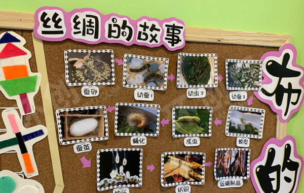 幼儿园主题墙布的世界图片