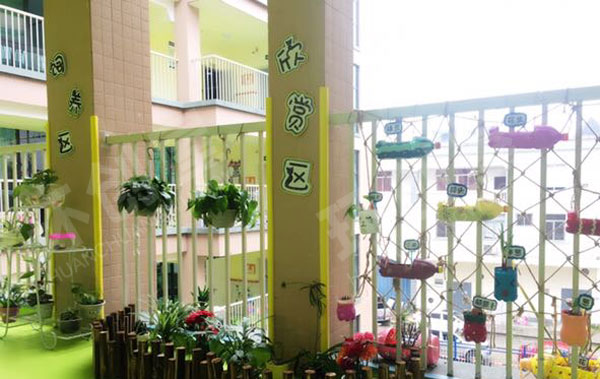幼儿园走廊里的植物角图片