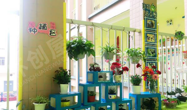 幼儿园走廊里的植物角图片