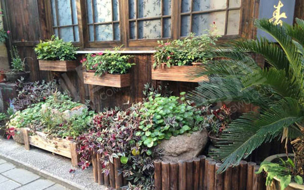 幼儿园户外小清新植物角图片