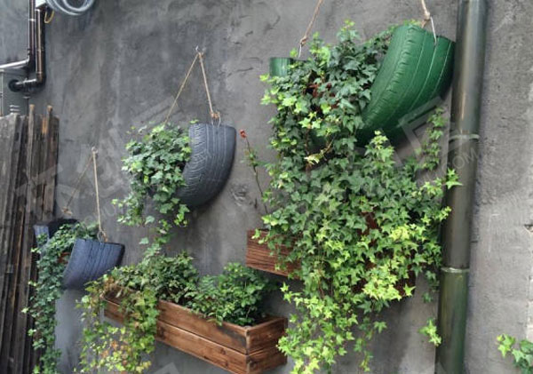 幼儿园户外小清新植物角图片