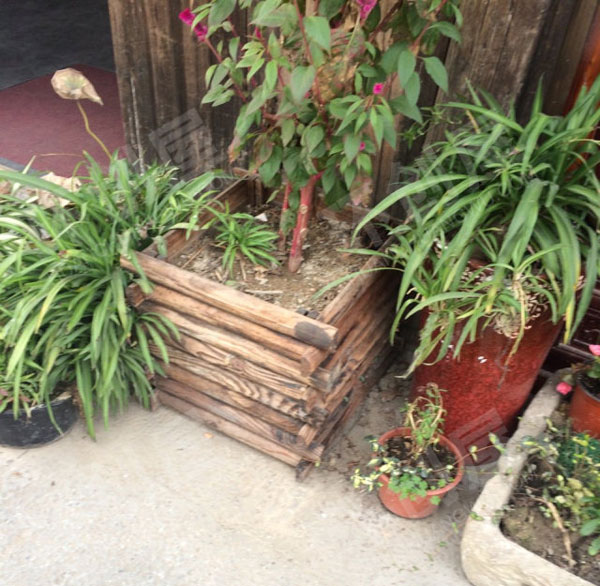 幼儿园户外小清新植物角图片