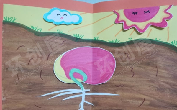 幼儿园科学区自制绘本种子的成长过程图片