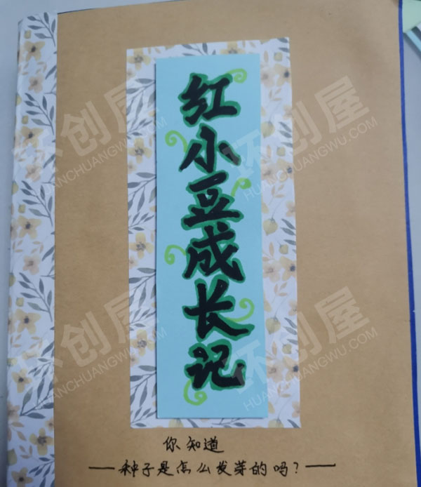 幼儿园科学区自制绘本种子的成长过程图片
