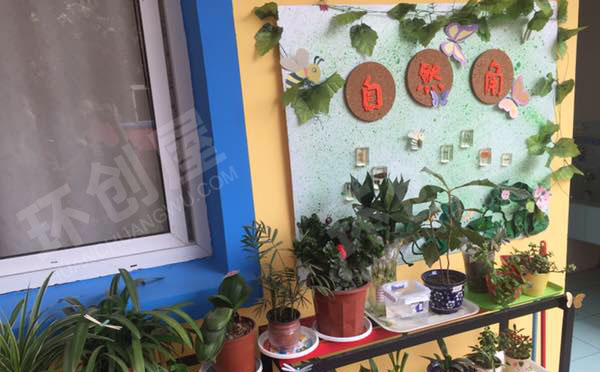 幼儿园户外废物利用卡通植物角图片