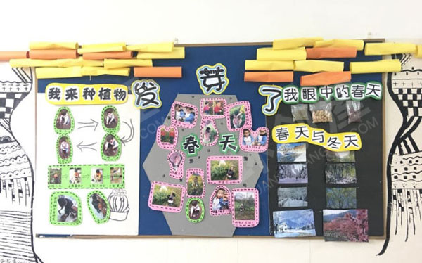 幼儿园春天种子发芽了主题墙图片