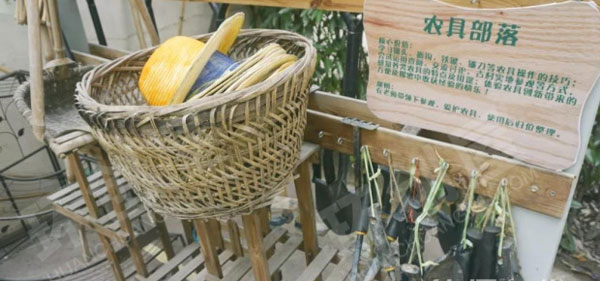 幼儿园户外植物角小芽菜园图片