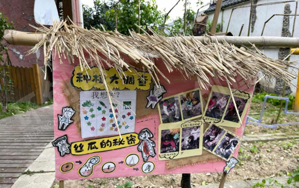 幼儿园户外植物角健康园地图片