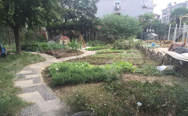 幼儿园户外废物利用种植区图片