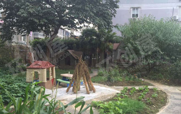 幼儿园户外废物利用种植区图片