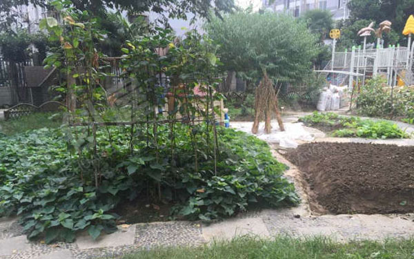 幼儿园户外废物利用种植区图片