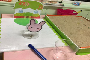 幼儿园科学区磁铁游戏小兔子回家图片3张