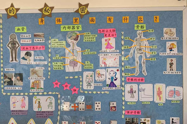 幼儿园身体的秘密主题墙图片