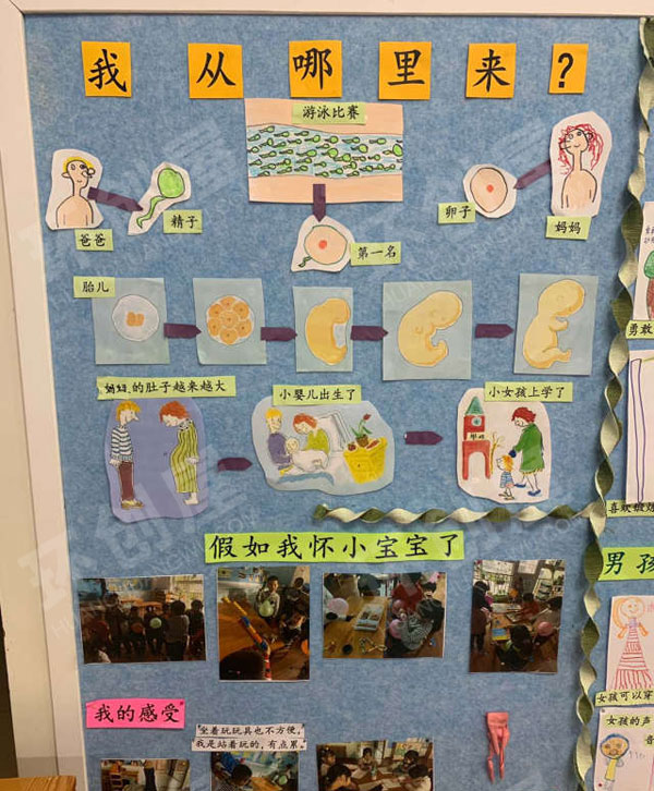 幼儿园身体的秘密主题墙图片